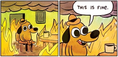 ../_images/this-is-fine.jpg